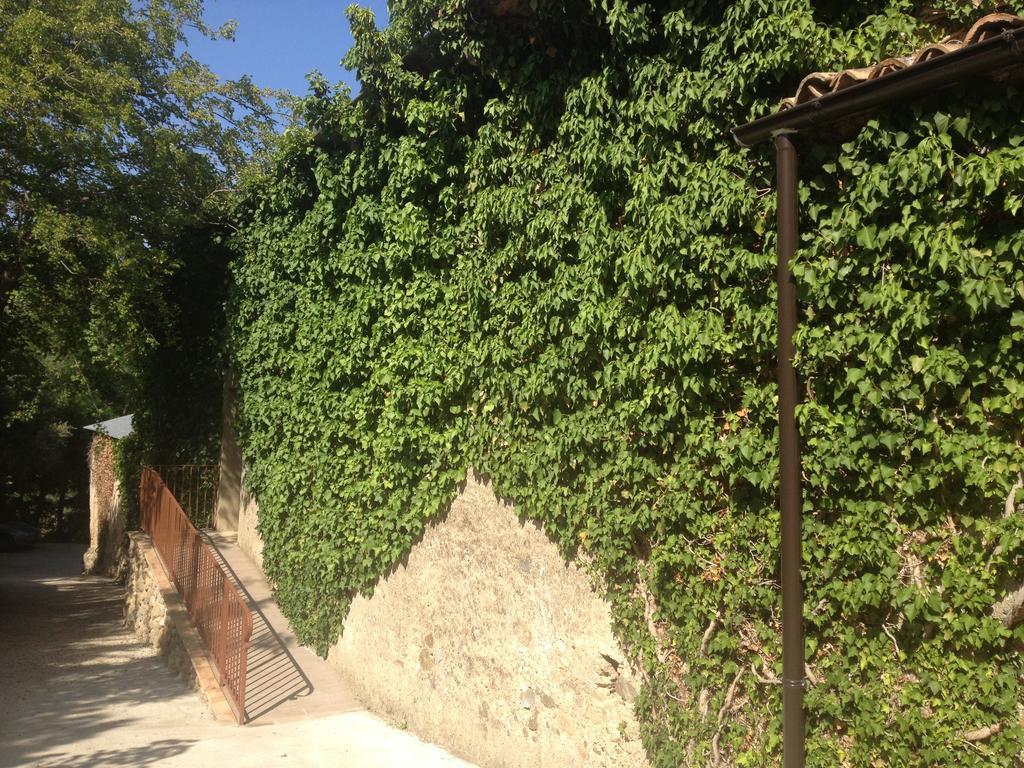 L'Anticocasale Guest House Altomonte Exterior photo